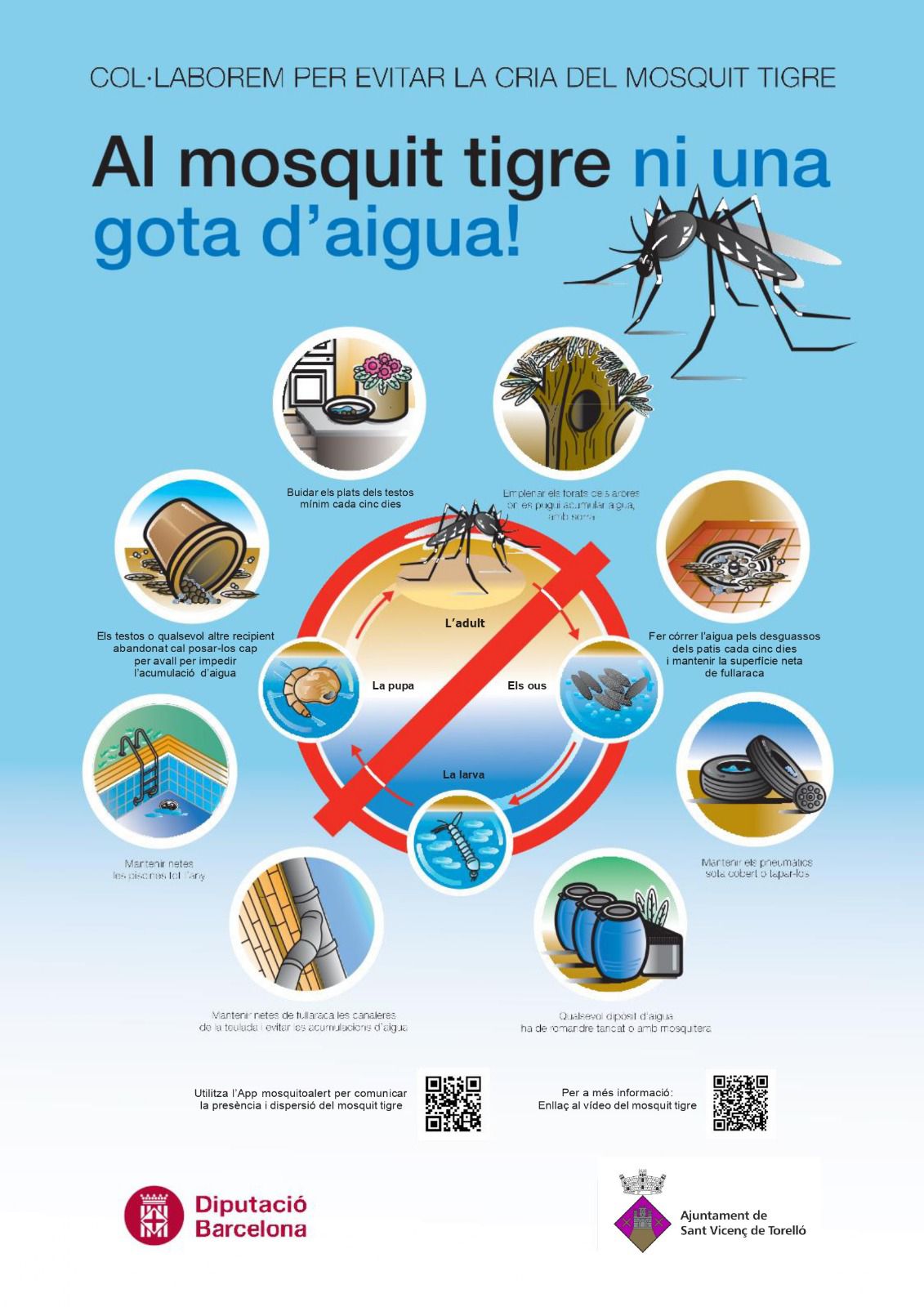 ALS MOSQUITS TIGRE, NI UNA GOTA D'AIGUA